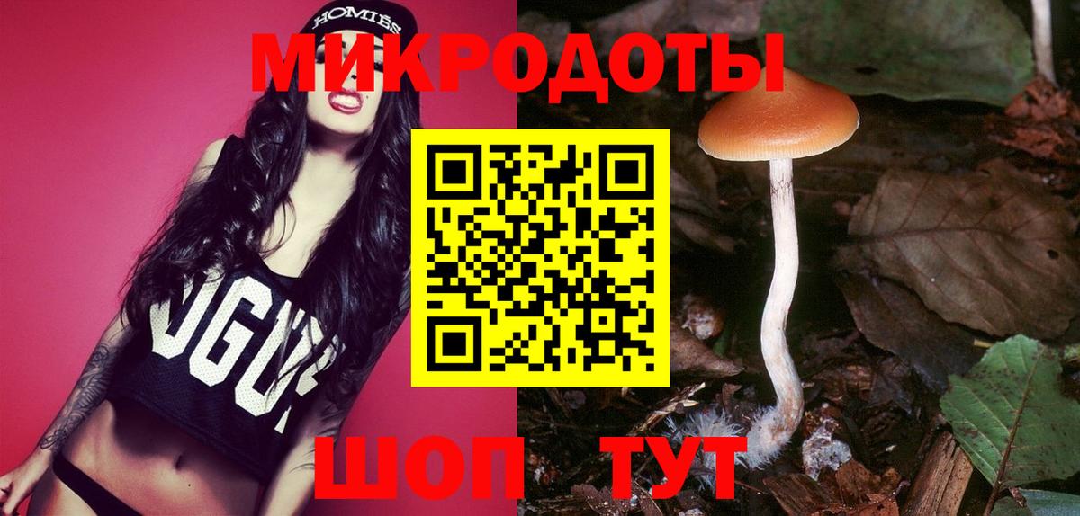 Псилоцибиновые грибы Psilocybine cubensis  Вход с VPN  Галлюциногенные грибы Psilocybine cubensis  Чита 