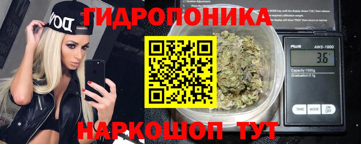 Конопля индика Чита